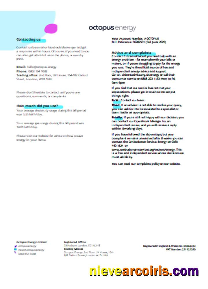 Octopus Energy utility business bill page 3